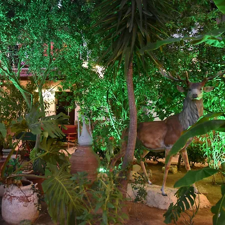 Istankoy Bodrum